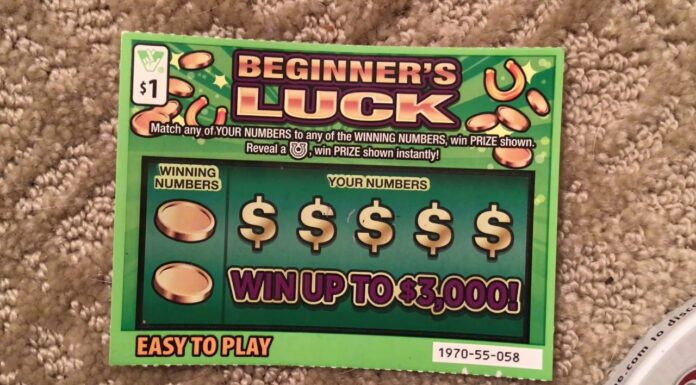 Beginner's Luck Casino
